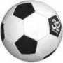 Ball Home Page