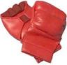 Beginner MMA Gloves