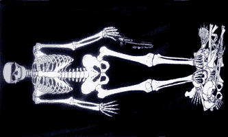 Fp_026_skeleton.gif