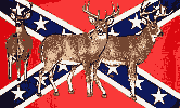 Fr_023_rebel_deer.gif