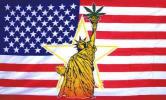 Fsm_statue_of_liberty_USA032.jpg