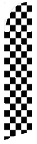 Fsw_039_bk_ckeckered.gif