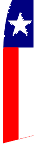 Fsw_098_state_texas.gif