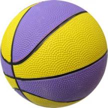 Size 1 Purple & Yellow Basketball