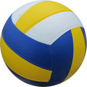 #5 Yellow & Blue Volleyball