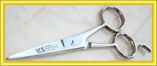 Barber Shears 5.5