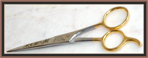 Barber Shears 5.5