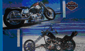 Don't Blame Me I Voted Trump Flag 3ft x 5ft