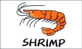 shrimp_m
