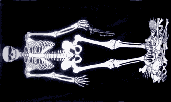 FP26 Skeleton