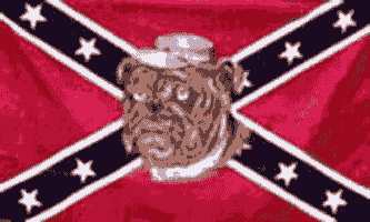 Rebel Bull Dog Rebel Flag