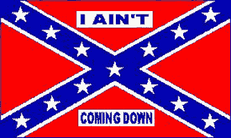 I Ain't Coming Down Rebel Flag