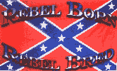 Fr_047_rebel_born_rebel_bred