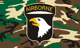 FM13_101st_airborne_camo_A