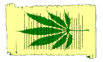 Marijuana 13 Reasons 