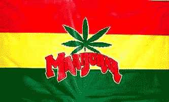 Marijuana Leaf on Red Yellow Green 