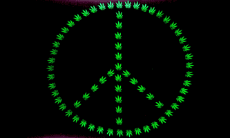 Peace Green Marijuana Leaf  in Black 