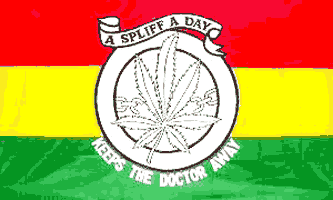 Spliff A Day Keeps the Doctor Away Marijuana