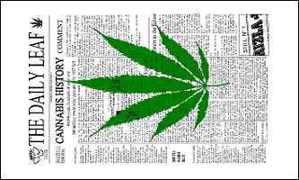 The Daily Leaf  News Marijuana