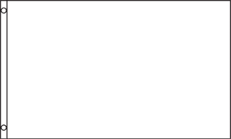 3' x 5' Flag Solid White