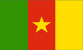 Cameroon 3ft x 5ft Country Flag