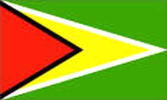 Guyana 3ft x 5ft Country Flag