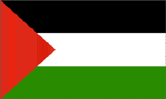 Palestine 3ft x 5ft Country Flag