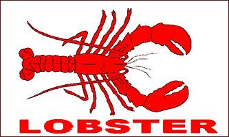 Lobster 3ft x 5ft Flag