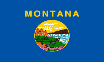 Montana State 3ft x 5ft Flag