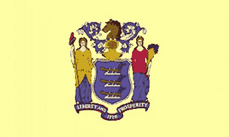 New Jersey State 3ft x 5ft Flag
