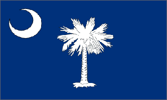 South Carolina State 3ft x 5ft Flag
