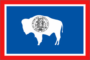 Wyoming State 3ft x 5ft Flag