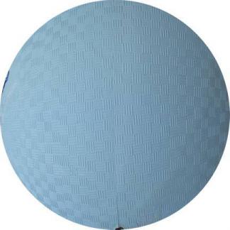 Light Blue 8 Rubber Kickball, Dodgeball